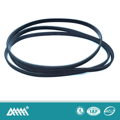 belt v ribbed price